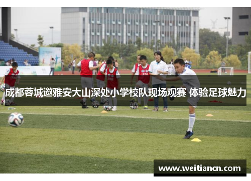 成都蓉城邀雅安大山深处小学校队现场观赛 体验足球魅力