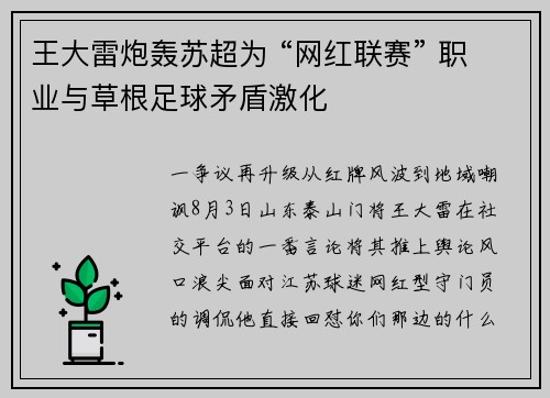王大雷炮轰苏超为 “网红联赛” 职业与草根足球矛盾激化