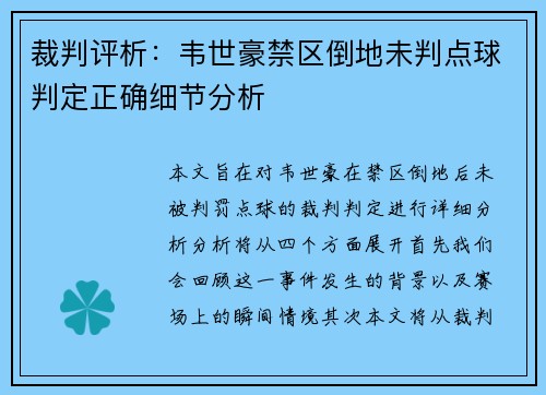 裁判评析：韦世豪禁区倒地未判点球判定正确细节分析
